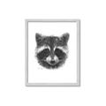 Picture of Raccoon Sketch _GroupedProduct_Rectangle_Portrait_Framed_Matted_