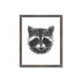 Picture of Raccoon Sketch _GroupedProduct_Rectangle_Portrait_Framed_Matted_