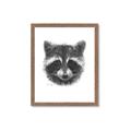 Picture of Raccoon Sketch _GroupedProduct_Rectangle_Portrait_Framed_Matted_