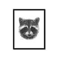 Picture of Raccoon Sketch _GroupedProduct_Rectangle_Portrait_Framed_Matted_