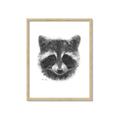 Picture of Raccoon Sketch _GroupedProduct_Rectangle_Portrait_Framed_Matted_