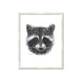 Picture of Raccoon Sketch _GroupedProduct_Rectangle_Portrait_Framed_Matted_