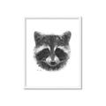 Picture of Raccoon Sketch _GroupedProduct_Rectangle_Portrait_Framed_Matted_