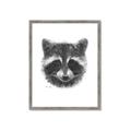 Picture of Raccoon Sketch _GroupedProduct_Rectangle_Portrait_Framed_Matted_