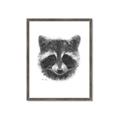 Picture of Raccoon Sketch _GroupedProduct_Rectangle_Portrait_Framed_Matted_