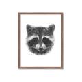 Picture of Raccoon Sketch _GroupedProduct_Rectangle_Portrait_Framed_Matted_