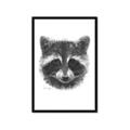 Picture of Raccoon Sketch _GroupedProduct_Rectangle_Portrait_Framed_Matted_