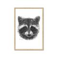 Picture of Raccoon Sketch _GroupedProduct_Rectangle_Portrait_Framed_Matted_