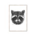 Picture of Raccoon Sketch _GroupedProduct_Rectangle_Portrait_Framed_Matted_