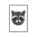 Picture of Raccoon Sketch _GroupedProduct_Rectangle_Portrait_Framed_Matted_