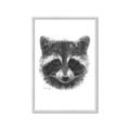 Picture of Raccoon Sketch _GroupedProduct_Rectangle_Portrait_Framed_Matted_