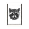 Picture of Raccoon Sketch _GroupedProduct_Rectangle_Portrait_Framed_Matted_