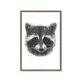 Picture of Raccoon Sketch _GroupedProduct_Rectangle_Portrait_Framed_Matted_