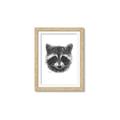 Picture of Raccoon Sketch _GroupedProduct_Rectangle_Portrait_Framed_Matted_