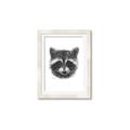 Picture of Raccoon Sketch _GroupedProduct_Rectangle_Portrait_Framed_Matted_
