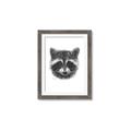 Picture of Raccoon Sketch _GroupedProduct_Rectangle_Portrait_Framed_Matted_