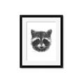 Picture of Raccoon Sketch _GroupedProduct_Rectangle_Portrait_Framed_Matted_