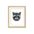 Picture of Raccoon Sketch _GroupedProduct_Rectangle_Portrait_Framed_Matted_