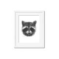 Picture of Raccoon Sketch _GroupedProduct_Rectangle_Portrait_Framed_Matted_