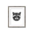 Picture of Raccoon Sketch _GroupedProduct_Rectangle_Portrait_Framed_Matted_