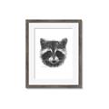 Picture of Raccoon Sketch _GroupedProduct_Rectangle_Portrait_Framed_Matted_