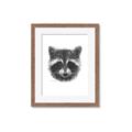 Picture of Raccoon Sketch _GroupedProduct_Rectangle_Portrait_Framed_Matted_