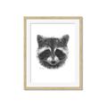 Picture of Raccoon Sketch _GroupedProduct_Rectangle_Portrait_Framed_Matted_