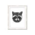 Picture of Raccoon Sketch _GroupedProduct_Rectangle_Portrait_Framed_Matted_