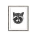 Picture of Raccoon Sketch _GroupedProduct_Rectangle_Portrait_Framed_Matted_