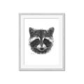 Picture of Raccoon Sketch _GroupedProduct_Rectangle_Portrait_Framed_Matted_