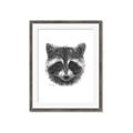 Picture of Raccoon Sketch _GroupedProduct_Rectangle_Portrait_Framed_Matted_