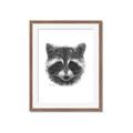 Picture of Raccoon Sketch _GroupedProduct_Rectangle_Portrait_Framed_Matted_