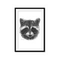 Picture of Raccoon Sketch _GroupedProduct_Rectangle_Portrait_Framed_Matted_