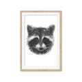 Picture of Raccoon Sketch _GroupedProduct_Rectangle_Portrait_Framed_Matted_