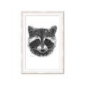 Picture of Raccoon Sketch _GroupedProduct_Rectangle_Portrait_Framed_Matted_