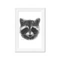 Picture of Raccoon Sketch _GroupedProduct_Rectangle_Portrait_Framed_Matted_
