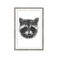 Picture of Raccoon Sketch _GroupedProduct_Rectangle_Portrait_Framed_Matted_
