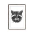 Picture of Raccoon Sketch _GroupedProduct_Rectangle_Portrait_Framed_Matted_
