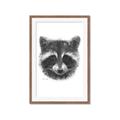Picture of Raccoon Sketch _GroupedProduct_Rectangle_Portrait_Framed_Matted_