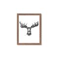 Picture of Moose Sketch _GroupedProduct_Rectangle_Portrait_Framed_Matted_