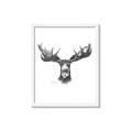 Picture of Moose Sketch _GroupedProduct_Rectangle_Portrait_Framed_Matted_