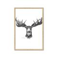 Picture of Moose Sketch _GroupedProduct_Rectangle_Portrait_Framed_Matted_