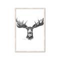 Picture of Moose Sketch _GroupedProduct_Rectangle_Portrait_Framed_Matted_