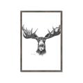 Picture of Moose Sketch _GroupedProduct_Rectangle_Portrait_Framed_Matted_