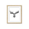 Picture of Moose Sketch _GroupedProduct_Rectangle_Portrait_Framed_Matted_