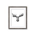 Picture of Moose Sketch _GroupedProduct_Rectangle_Portrait_Framed_Matted_