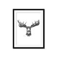 Picture of Moose Sketch _GroupedProduct_Rectangle_Portrait_Framed_Matted_