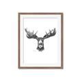 Picture of Moose Sketch _GroupedProduct_Rectangle_Portrait_Framed_Matted_