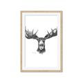 Picture of Moose Sketch _GroupedProduct_Rectangle_Portrait_Framed_Matted_