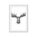 Picture of Moose Sketch _GroupedProduct_Rectangle_Portrait_Framed_Matted_